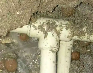 阳西测漏水多少钱