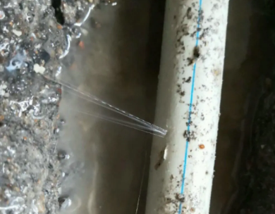 阳西测漏水哪家好