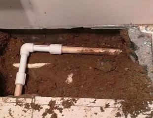 阳西测漏水哪家好