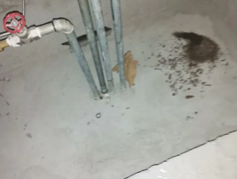 阳西卫生间测漏水价格明细