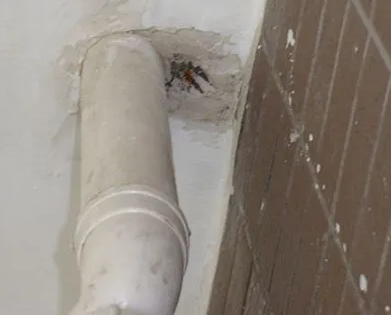 阳西漏水检测哪家好